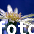Men&uuml;punkt Fotoalbum